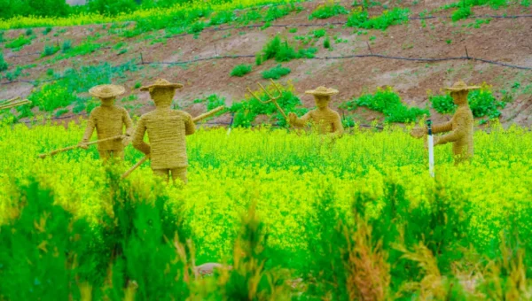 C++ 在自动驾驶领域的应用趋势