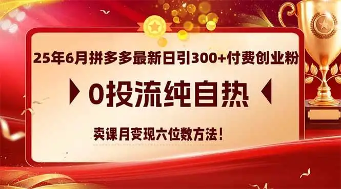 (14989期)25年6月拼多多最新日引300+付费创业粉,0投流纯自热 卖课月变现六位数方法