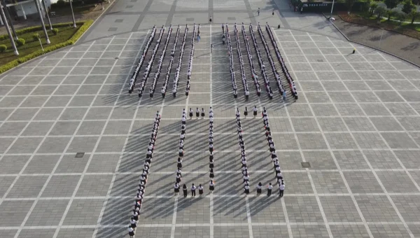 编程工具的更新与升级，保持技术领先