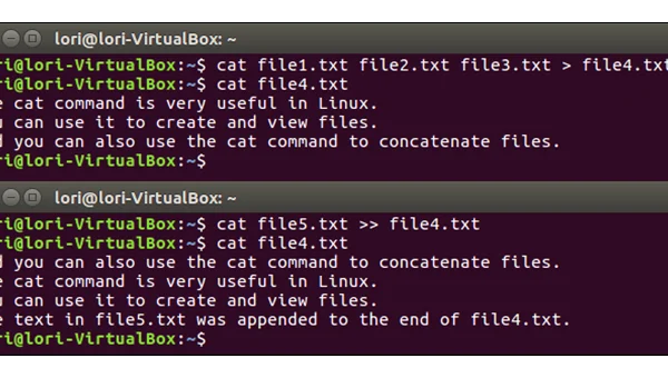 linux执行文档里的命令