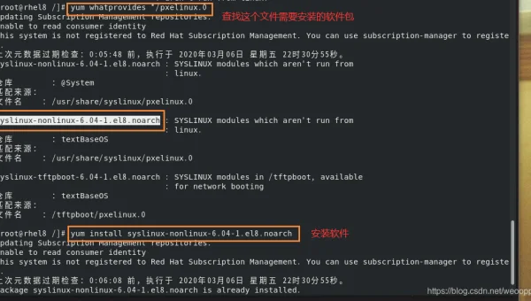 为何 Linux 系统无法挂载 NFS 共享?