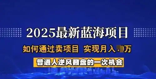 2025蓝海项目，普通人如何通过卖项目，实现月入过W，全过程【揭秘】