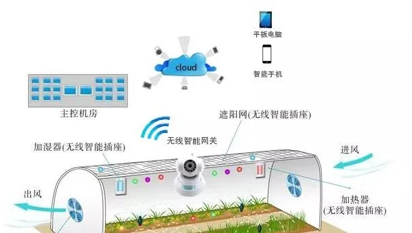 Windows 远程连接物联网服务器失败原因分析