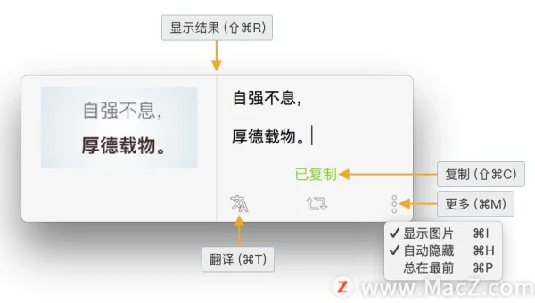 编程工具的代码托管平台（CMP）比较
