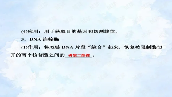 GitHub Codespaces 网络代理配置:PAC 文件与全局代理切换