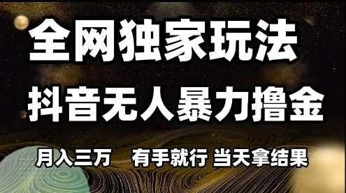 全网独家玩法抖音无人暴力撸金，月入3W，有手就行，当天拿结果【揭秘】
