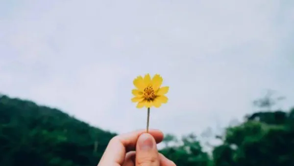 跟老男孩学 linux三剑客命令