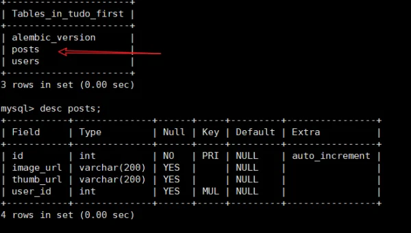 GitHub Codespaces 持久化存储：数据卷配置与资源保留策略