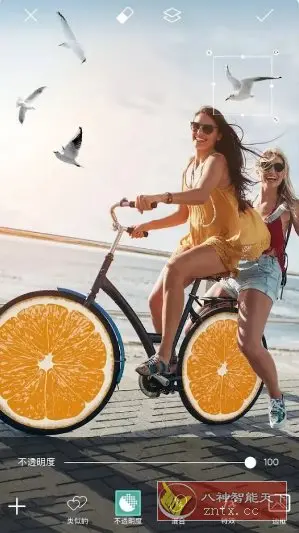 Picsart美易 v27.8.6高级版