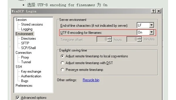 从windows传文件到linux命令