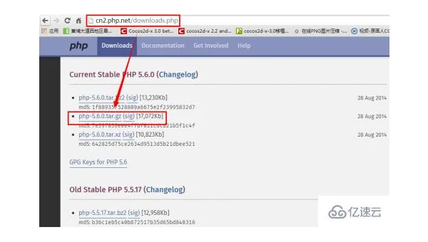 Linux 怎么在命令行下从 TAR 文件中提取特定目录