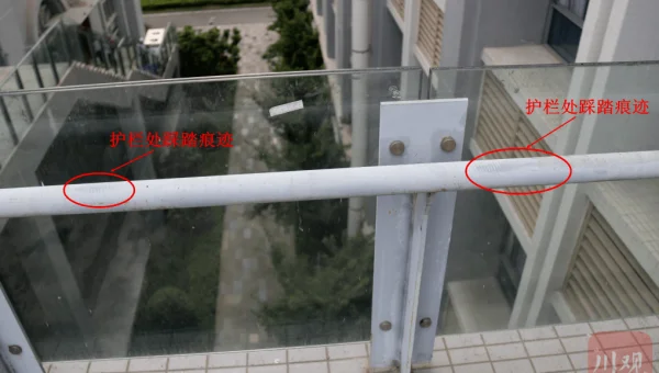 Coding.net 代码备份与恢复的重要操作