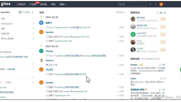 Gitee 代码保护与安全设置