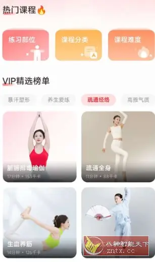 元气伸展1.1.8高级版