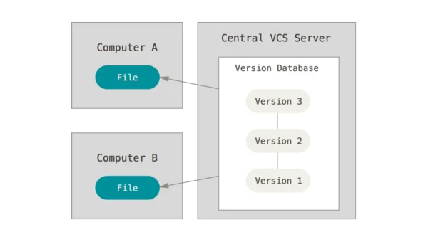编程工具的版本控制系统（VCS）选择