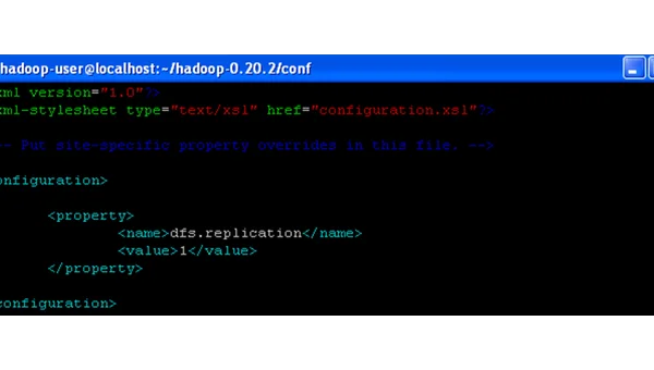 linux下dfs是什么意思