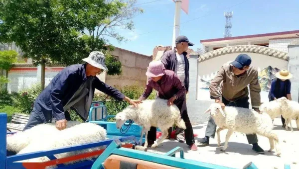 Grunt 插件开发的基础教程