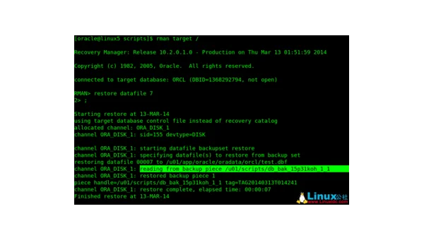 Linux 中如何快速备份和恢复重要数据