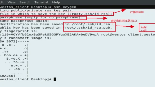 linux中ssh登陆后退出登录的命令