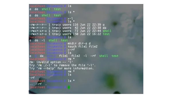 linux命令常用命令