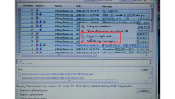 政府项目代码审计:Subversion(SVN)操作日志与权限追溯