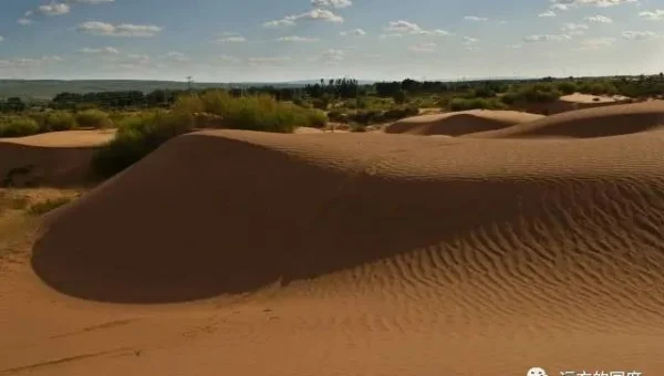 Clang 静态分析与知识图谱:漏洞模式的语义网络构建