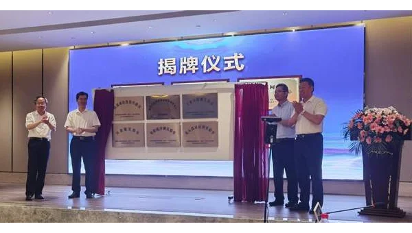 Mercurial 分布式算法：双向同步与冲突解决的数学模型