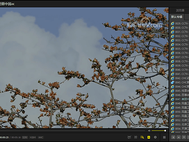 PotPlayer v1.7.22619绿色版