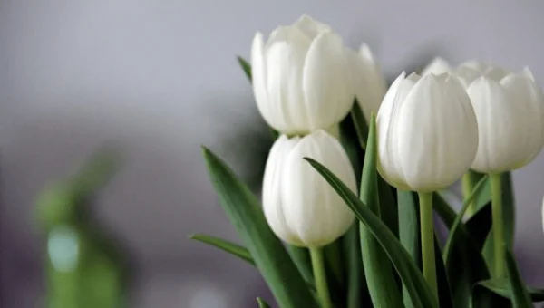 大数据联邦学习技术的发展前景