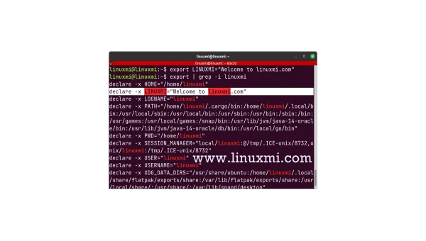 linux export命令不生效