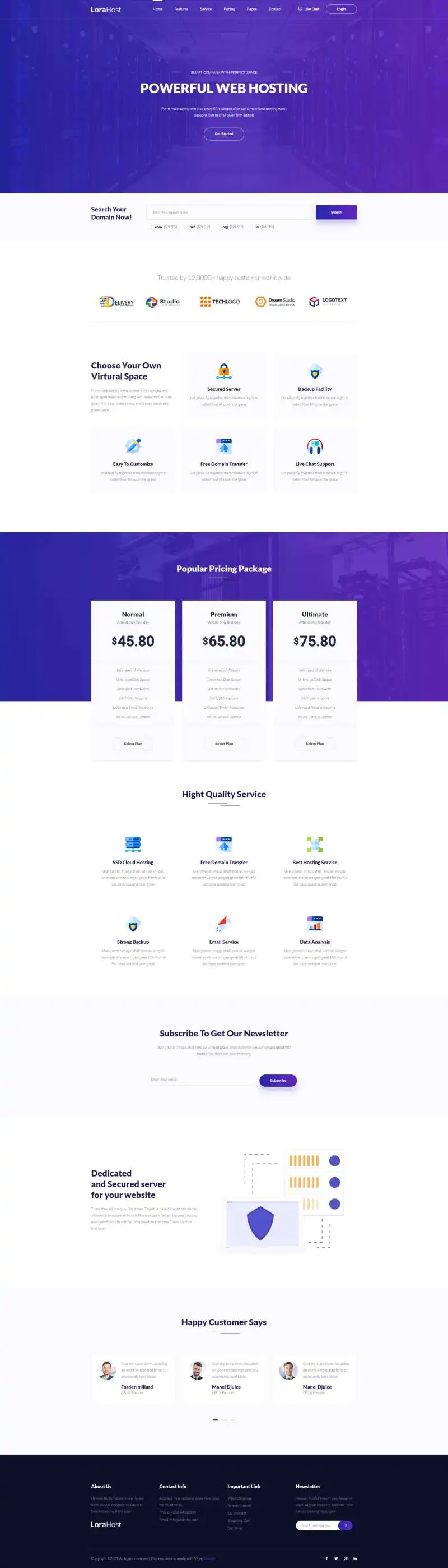 虚拟主机域名服务器托管html网站模板