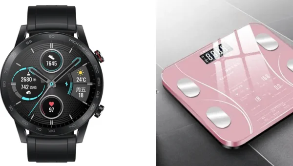 人工智能目标检测项目实战:识别街道上的车辆