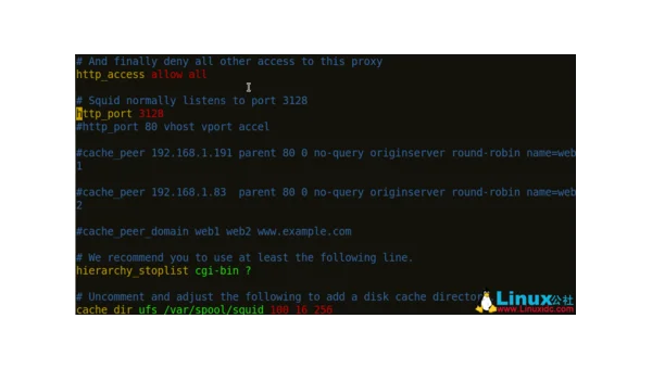 Linux 中如何配置和使用 Squid 代理服务器