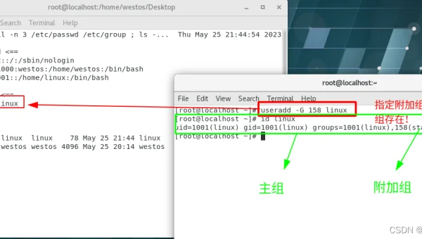 Linux 中如何管理用户和用户组