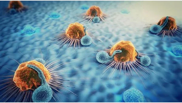 测试医疗项目实战：数据隐私与系统稳定性测试