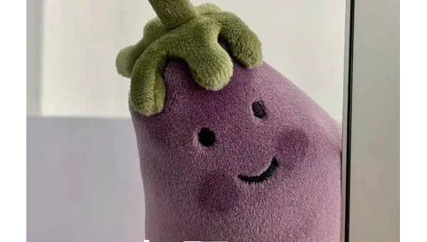 为何 Linux 系统无法识别新的网卡？