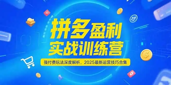 (15183期)拼多多盈利实战训练营,强付费玩法深度解析,2025最新运营技巧合集