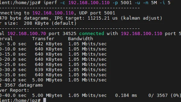 Linux 下如何优化网络带宽使用？