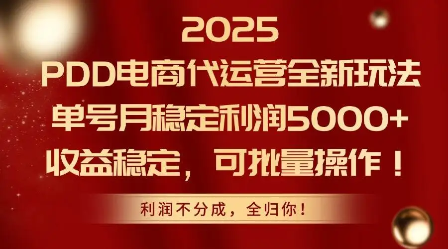 (14839期)2025PDD电商代运营全新玩法,单号月稳定利润5000+,收益稳定,可批量操作
