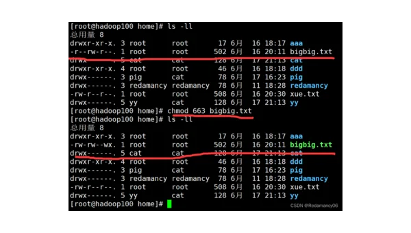 linux使用命令查看ls命令的帮助