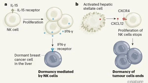 Subversion（SVN）迁移指南：从老旧版本控制系统过渡到 Git 的 5 个步骤