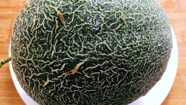 GitHub Copilot 多模态输出：生成 UML 类图与序列图