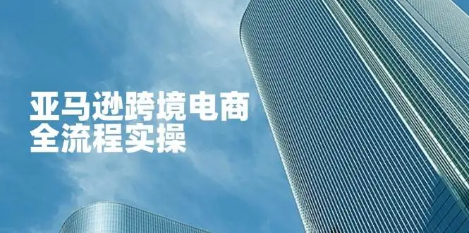 （14252期）亚马逊跨境电商全流程实操，教你从零开始，掌握店铺运营与广告技巧