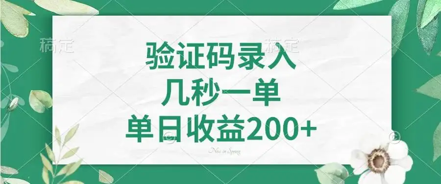 （14221期）验证码录入，几秒一单，单日收益200+
