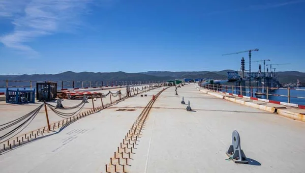 人工智能图像分类项目实战：识别不同花卉种类