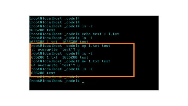 linux 执行命令 txt