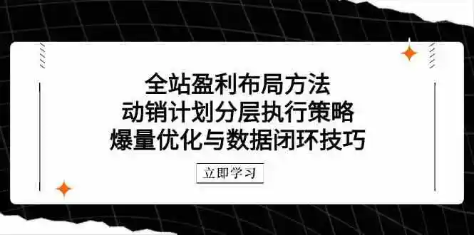 全站盈利布局方法：动销计划分层执行策略，爆量优化与数据闭环技巧