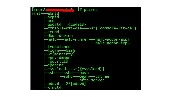 Linux 中通过 PID 查找进程的命令详解