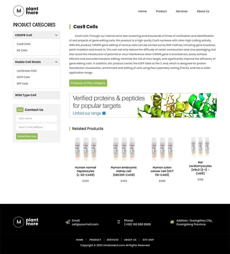 双语外贸生物细胞科技网站模板