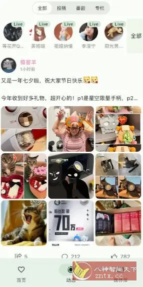 B站第三方客户端Pilipalax v1.1.2-beta